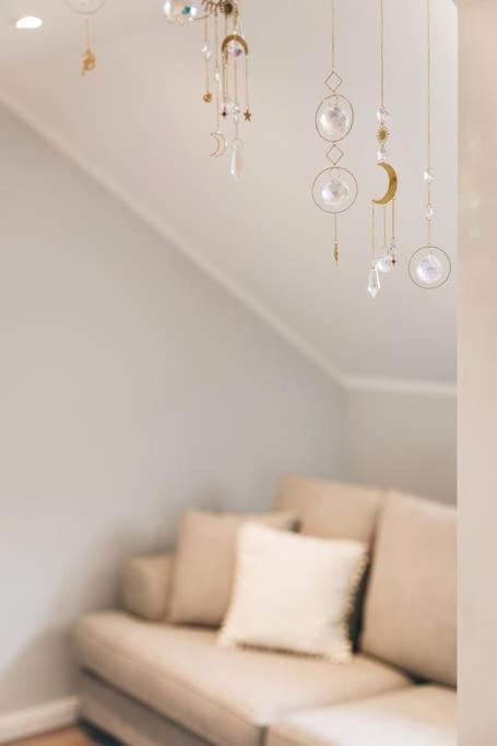 Tip! Toplage In Dresden! Moderne 100 Qm Ferienwohnung Fuer Familien Und Kleine Gruppen Bagian luar foto